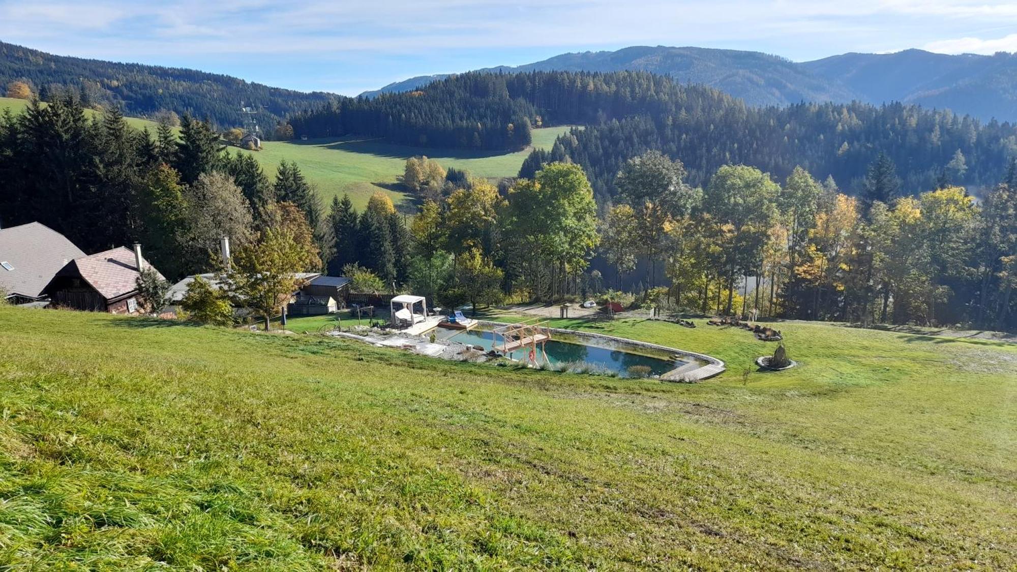 Вілла Ferienhaus Pliescherhof Turnau Екстер'єр фото