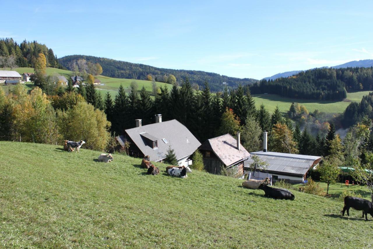 Вілла Ferienhaus Pliescherhof Turnau Екстер'єр фото